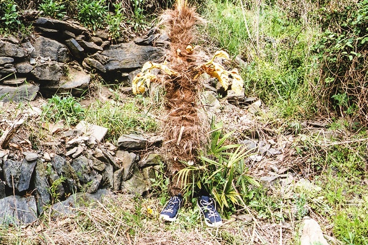 gravis と6人の写真家によるエキシビジョン “THeCOLOR”