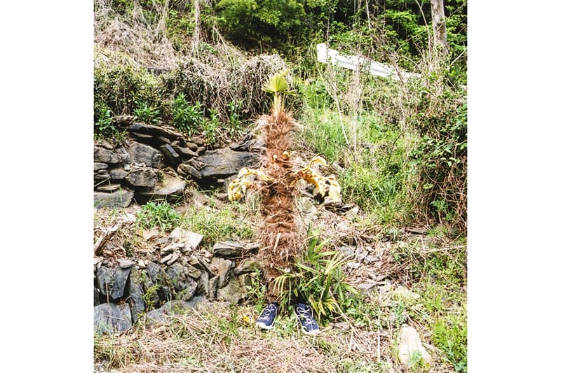 gravis と6人の写真家によるエキシビジョン “THeCOLOR”