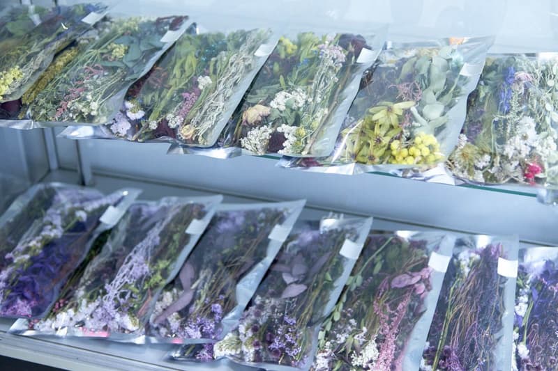 業界御用達 edenworks のドライフラワーショップ『EW.Pharmacy』 紅茶屋のブレンドや調剤薬局の調合をイメージした篠崎恵美の新たなショップで自分好みのドライフラワーを作ろう