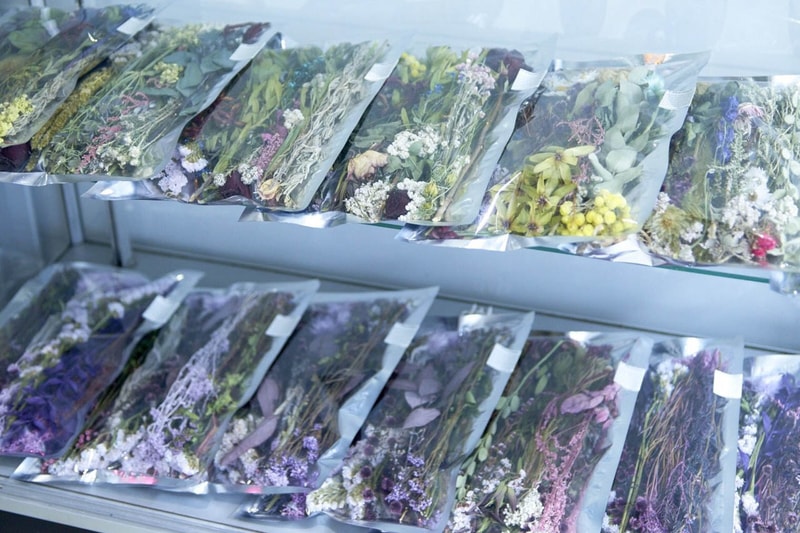 業界御用達 edenworks のドライフラワーショップ『EW.Pharmacy』 紅茶屋のブレンドや調剤薬局の調合をイメージした篠崎恵美の新たなショップで自分好みのドライフラワーを作ろう