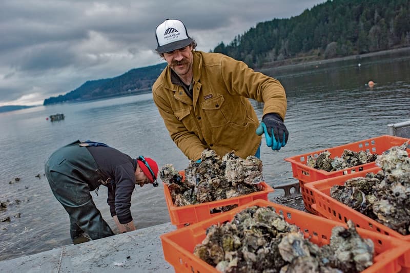 Patagonia よりワークウェアがデビュー パタゴニア