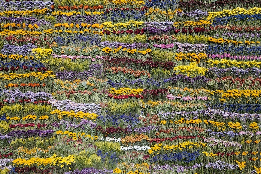 フラワーアーティスト東信による花の朽ちる姿を観察するインスタレーションがリオデジャネイロで開催 azuma makoto flower artist rio de janeiro brazil