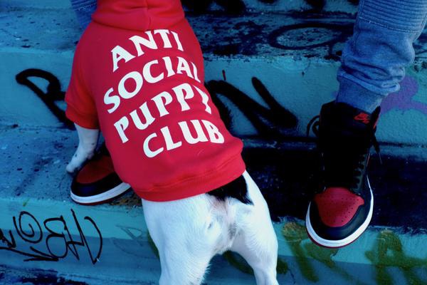 飼い犬を溺愛するヘッズ必見のワンちゃん専用ストリートブランド Pawkier  〈Off-White™〉のインダストリアルベルトや〈Anti Social Social Club〉のウェーブロゴアイテムがペット仕様に 犬 猫 ペット ペットウェア 洋服 首輪 リード ハーネス