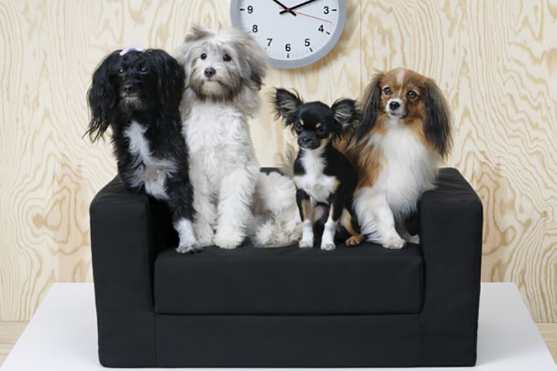 IKEA から待望の愛犬/愛猫用のペット用コレクションが初登場 イケア 犬 猫 ペット dogs cats pets furniture 家具 アクセサリー ペット用 犬用 猫用 爪とぎマット 小屋