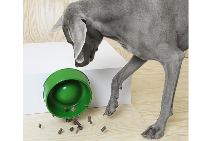 IKEA から待望の愛犬/愛猫用のペット用コレクションが初登場 イケア 犬 猫 ペット dogs cats pets furniture 家具 アクセサリー ペット用 犬用 猫用 爪とぎマット 小屋