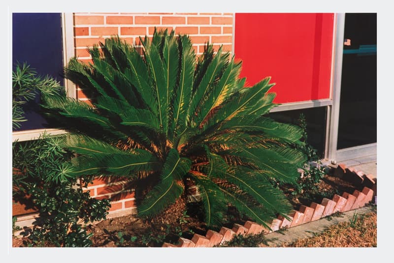 著名ギャラリー David Zwirner がジェフ・クーンズの作品や Frank Ocean の写真などを限定販売中 デイヴィッド ツヴィルナー ジェフ クーンズ フランク オーシャン Art Basel Miami アート バーゼル マイアミ ハイプ ビースト hypebeast