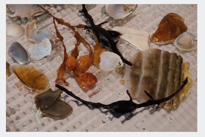 著名ギャラリー David Zwirner がジェフ・クーンズの作品や Frank Ocean の写真などを限定販売中 デイヴィッド ツヴィルナー ジェフ クーンズ フランク オーシャン Art Basel Miami アート バーゼル マイアミ ハイプ ビースト hypebeast