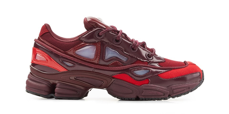 adidas-raf-simons-ozweego-iii- 