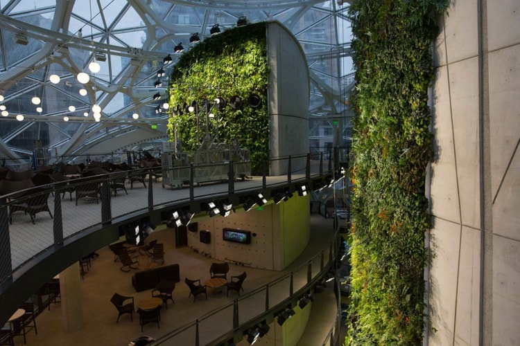 シアトルの Amazon 新本社に建設された3つの球体型植物園の中をチェック