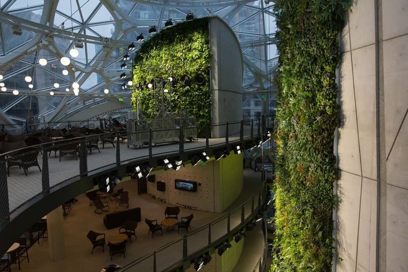 シアトルの Amazon 新本社に建設された3つの球体型植物園の中をチェック アマゾン 本社 社屋 植物園 球体 hypebeast