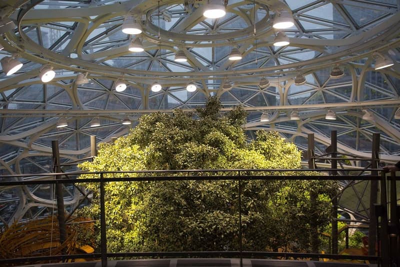 シアトルの Amazon 新本社に建設された3つの球体型植物園の中をチェック アマゾン 本社 社屋 植物園 球体 hypebeast