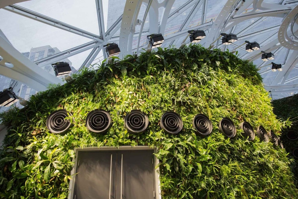 シアトルの Amazon 新本社に建設された3つの球体型植物園の中をチェック アマゾン 本社 社屋 植物園 球体 hypebeast