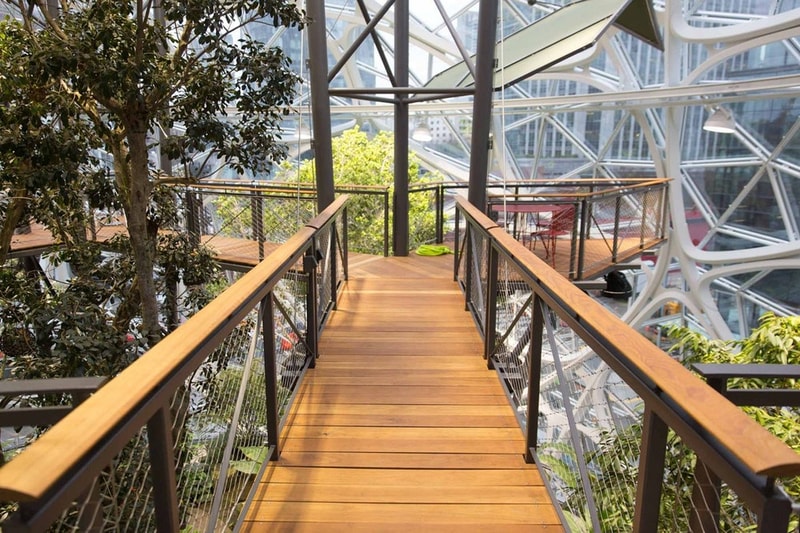 シアトルの Amazon 新本社に建設された3つの球体型植物園の中をチェック アマゾン 本社 社屋 植物園 球体 hypebeast
