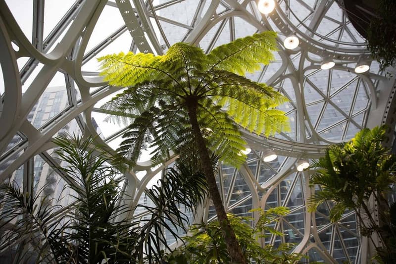 シアトルの Amazon 新本社に建設された3つの球体型植物園の中をチェック アマゾン 本社 社屋 植物園 球体 hypebeast