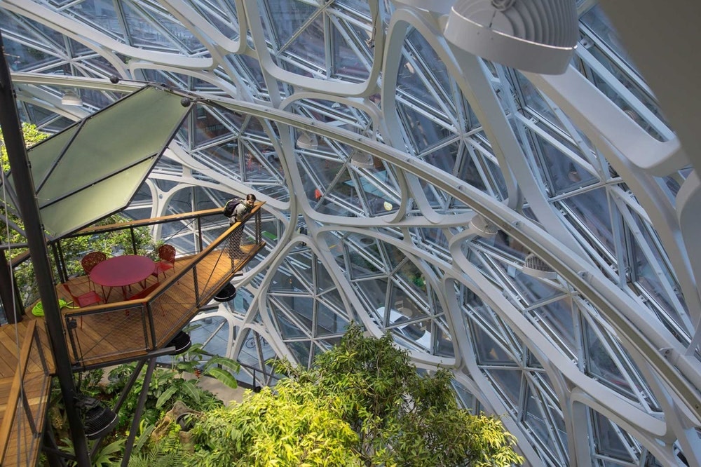 シアトルの Amazon 新本社に建設された3つの球体型植物園の中をチェック アマゾン 本社 社屋 植物園 球体 hypebeast