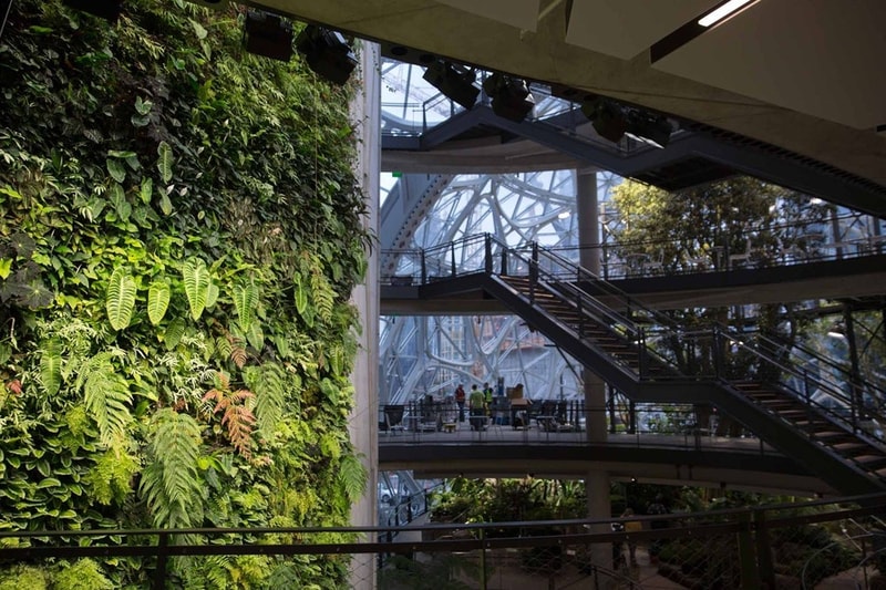 シアトルの Amazon 新本社に建設された3つの球体型植物園の中をチェック アマゾン 本社 社屋 植物園 球体 hypebeast
