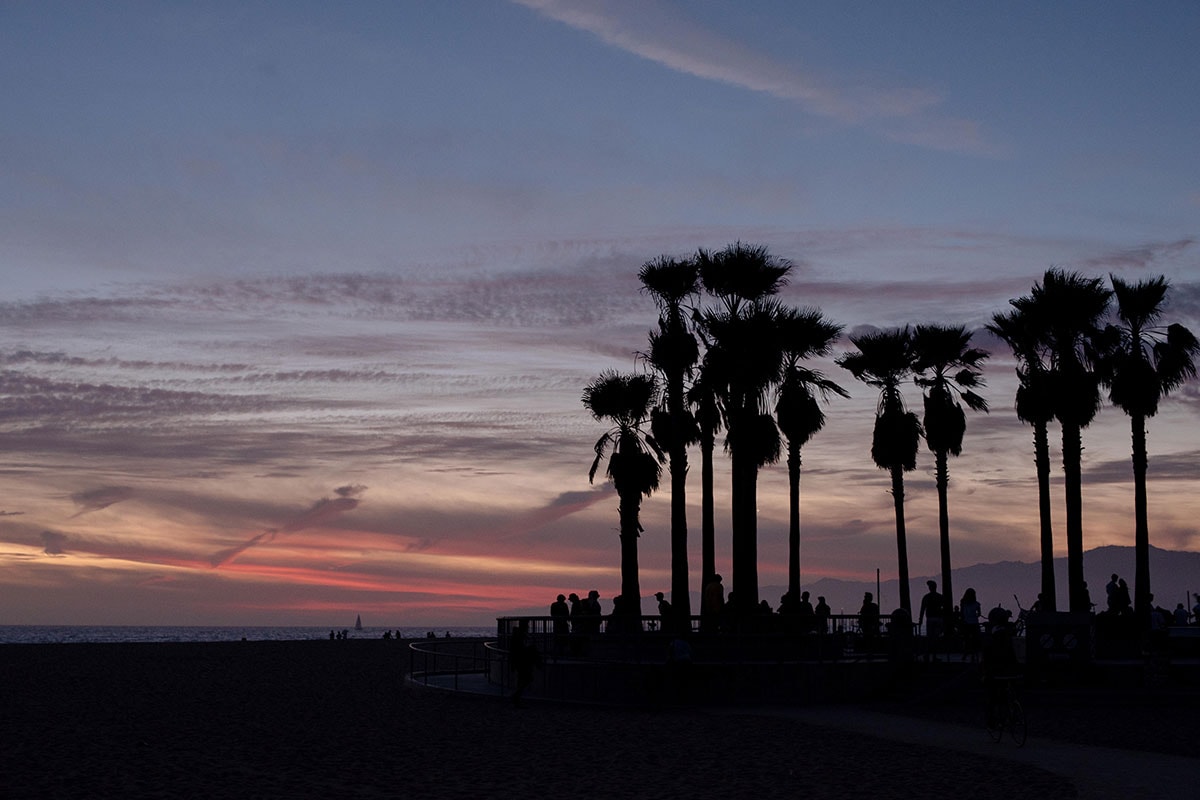 Los Angeles Creatives GuideでLAクリエイターたちの行きつけを知ろう brain dead john ross virgil normal atiba jefferson bornxraised