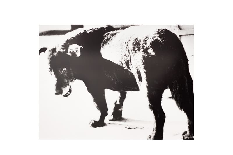 ロンドンにて開催中の巨匠写真家 森山大道によるフォトエキシビジョンの様子をチェック 日本が歩んできた時の流れをそのまま切り撮ったモノクロ写真がずらり WACKO MARIA ワコ マリア コラボコレクション 80歳 日本人写真家 森山大道 イギリス・ロンドン フォトエキシビジョン パチンコ台 バイク 日常風景 戦後 日本市民 モノクロ写真 Micheal Hoppen Gallery マイケル・ホッペン・ギャラリー Virgil Abloh ヴァージル・アブロー 現代アーティスト 村上隆 コラボアート展 Future History HYPEBEAST ハイプビースト