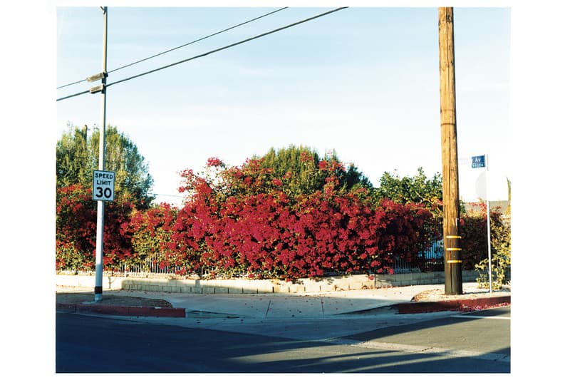 レジェンド級のスケートヒーローたちによるアートショー LOVE+GUTS の日本初開催が決定 ラブ ガッツ アンド HYPEBEAST ハイプビースト