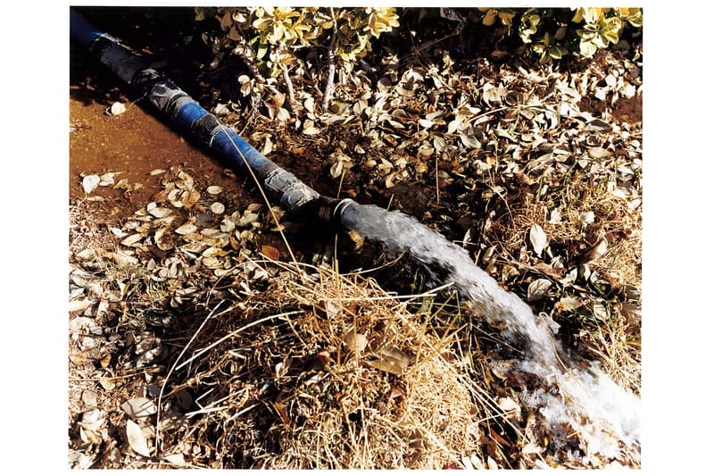 レジェンド級のスケートヒーローたちによるアートショー LOVE+GUTS の日本初開催が決定 ラブ ガッツ アンド HYPEBEAST ハイプビースト