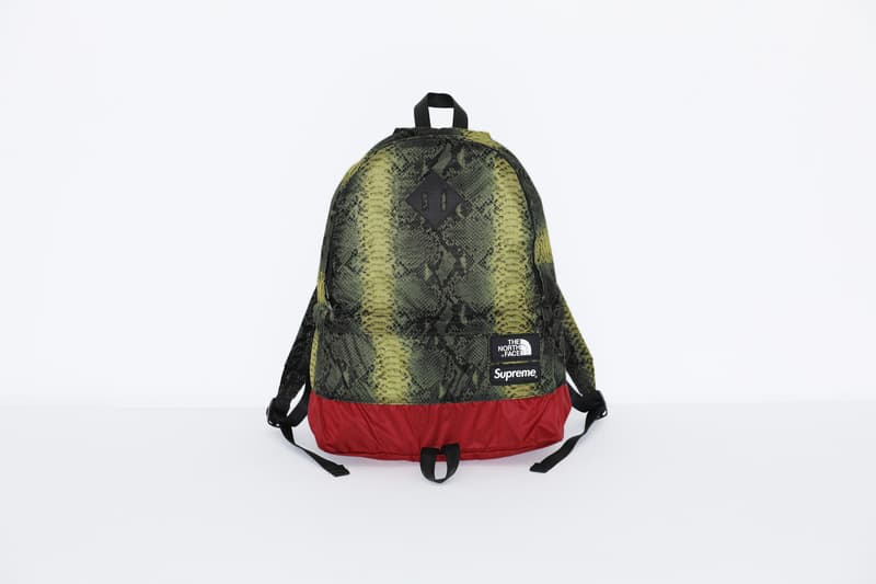 Supreme x The North Face のタッグよりスネークプリントが効いた最新コラボアイテムが登場 シュプリーム ノースフェイス HYPEBEAST ハイプビースト