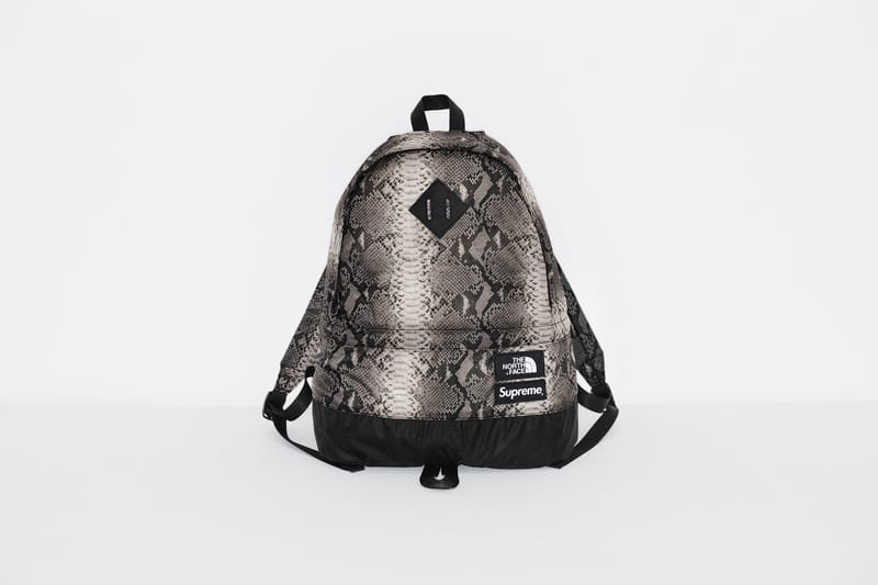 supreme north face backpack snakeskin