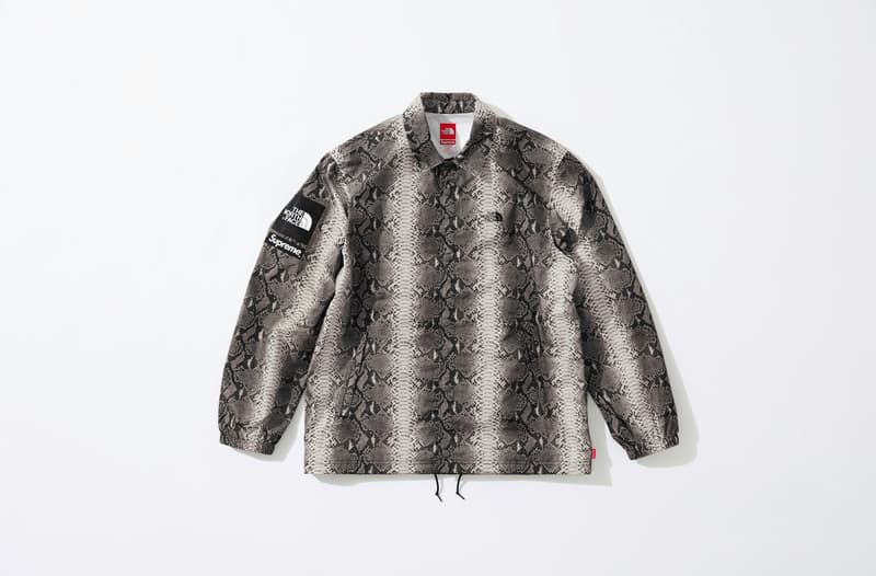 Supreme x The North Face のタッグよりスネークプリントが効いた最新コラボアイテムが登場 シュプリーム ノースフェイス HYPEBEAST ハイプビースト