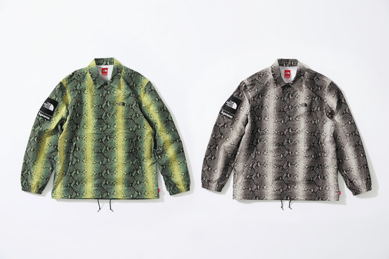 Supreme x The North Face のタッグよりスネークプリントが効いた最新コラボアイテムが登場 シュプリーム ノースフェイス HYPEBEAST ハイプビースト