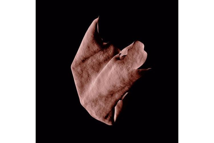 先週の注目音楽リリース 10 選（＋番外編） HYPEBEAST ハイプビースト ミュージック