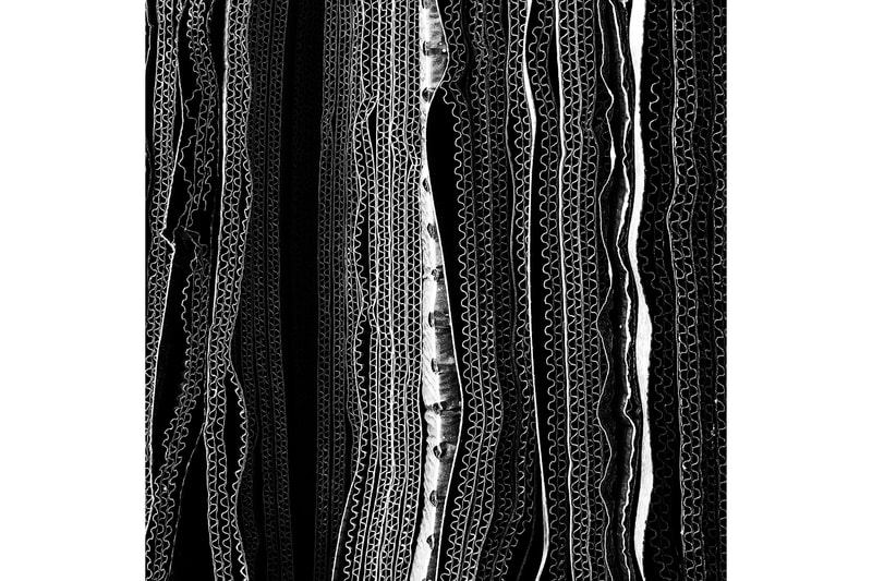 2018 iPhone Photography Awards の受賞作品が発表