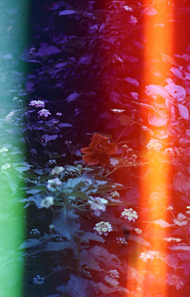 クリエイティブ集団 Inspiration Cult が Psychedelic Blues Film とタッグを組み100個限定のオリジナルフィルムを発売 渋谷区東にシークレットバーやギャラリースペースなどを併設した『Inspiration Cult Gallery』を同日オープン Inspiration Cult インスピレーションカルト サンフランシスコ Dustin Adams ダスティン・アダムス Psychedelic Blues Film サイコデリック・ブルース・フィルム 35mmフィルム 5,800円（税抜） 100個限定 シークレットバー ギャラリースペース 暗室 Inspiration Cult Gallery HYPEBEAST ハイプビースト