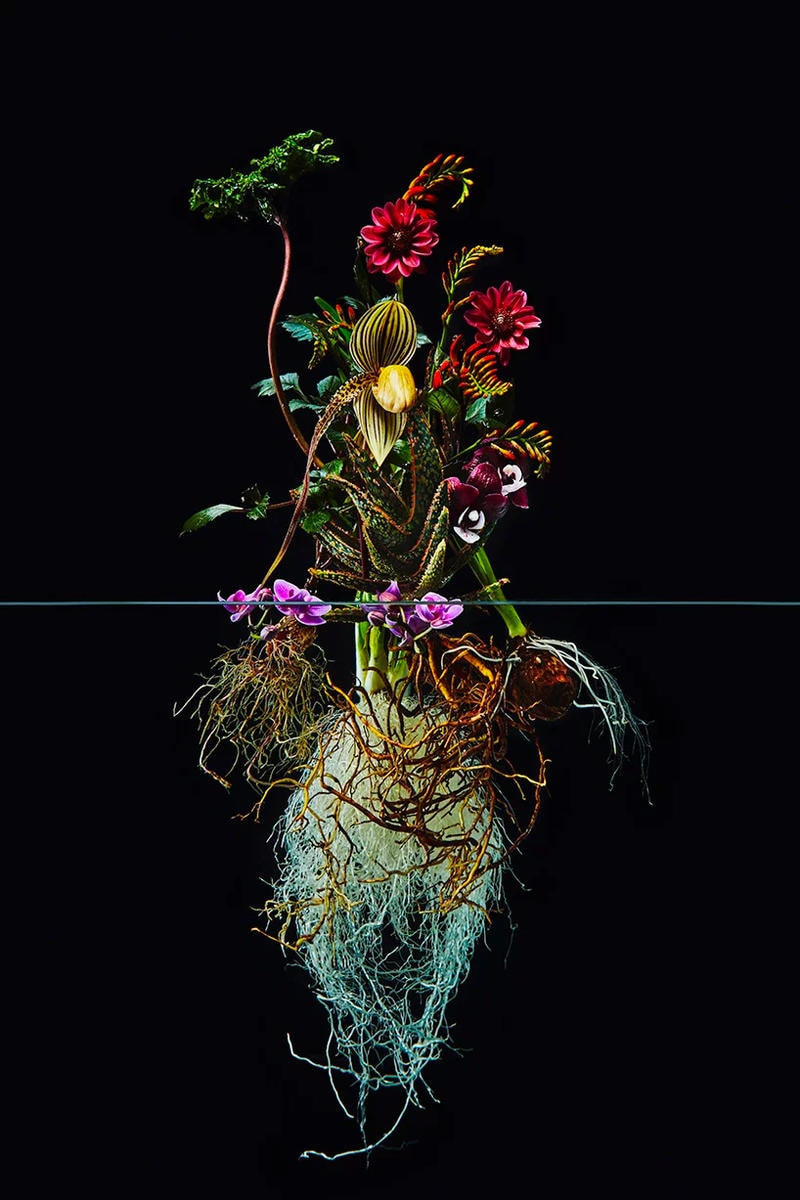 日本人フラワーアーティストの東信が手がけた植物の表裏一体性を露わにした最新アート作品