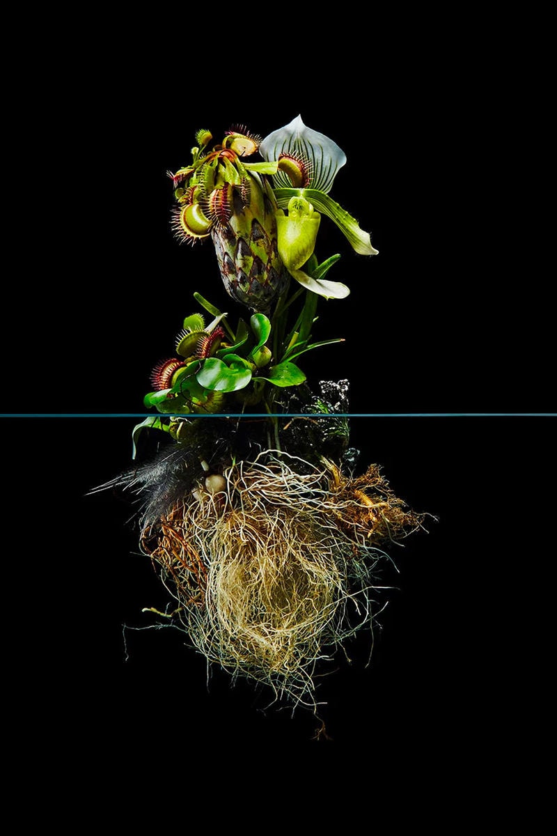 日本人フラワーアーティストの東信が手がけた植物の表裏一体性を露わにした最新アート作品