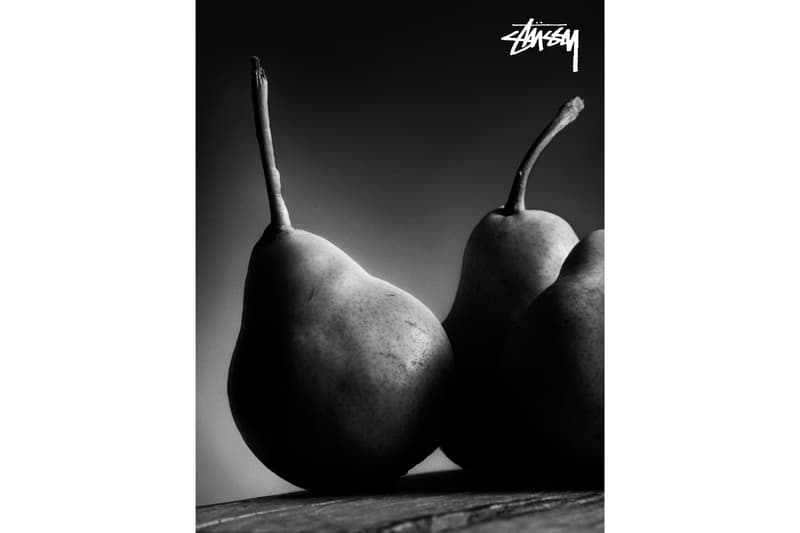 STÜSSY モノクロ写真 2018年秋 キャンペーン ビジュアル ステューシー HYPEBEAST ハイプビースト