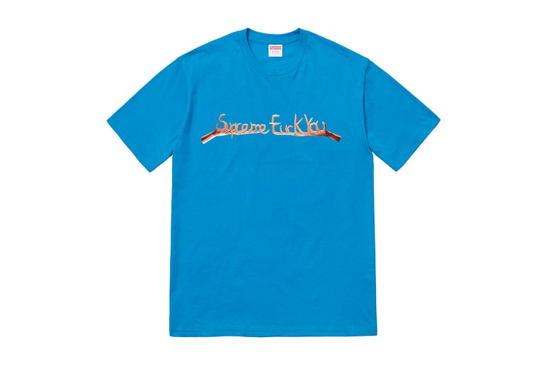 Supreme 2018年秋冬コレクション Tシャツ マドンナ、水銀、臓器、絵画、指文字など、ヘッズ垂涎の個性派Tシャツが全10型ラインアップ Supreme シュプリーム Madonna マドンナ 18日（土） HYPEBEAST ハイプビースト