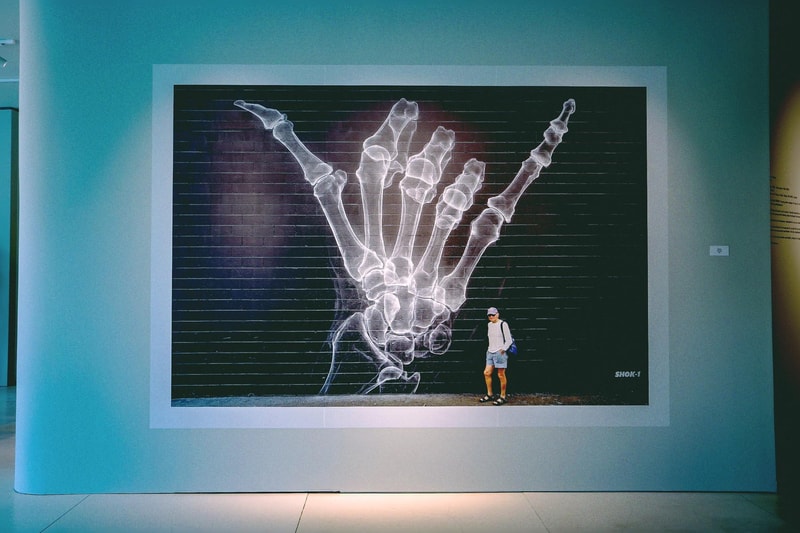 世界各地の壁画アートが一堂に会した SHOK-1 国内初となる個展 “Street X-Rays” に潜入 普段顔出しNGのSHOK-1もX線アートをプリントした限定マスク姿で登場 