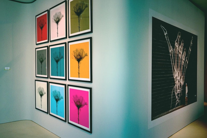 世界各地の壁画アートが一堂に会した SHOK-1 国内初となる個展 “Street X-Rays” に潜入 普段顔出しNGのSHOK-1もX線アートをプリントした限定マスク姿で登場 