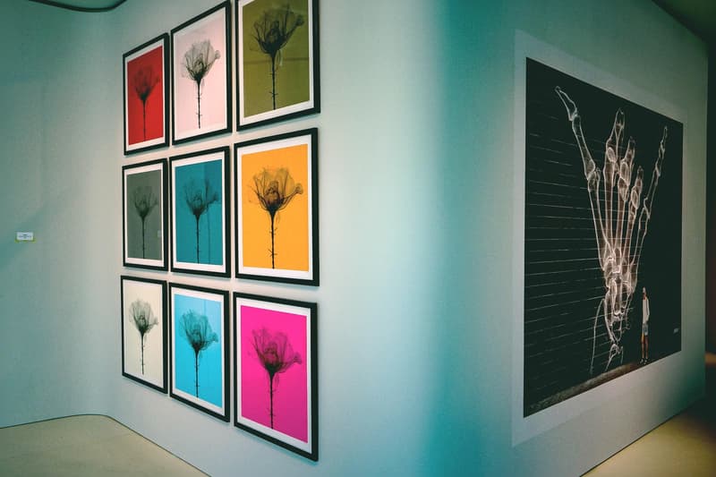 世界各地の壁画アートが一堂に会した SHOK-1 国内初となる個展 “Street X-Rays” に潜入 普段顔出しNGのSHOK-1もX線アートをプリントした限定マスク姿で登場
