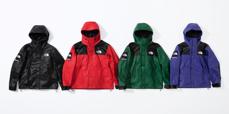 supreme the north face leather jacket