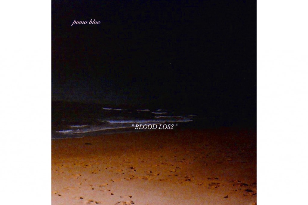 HYPEBEAST 音楽 リリース 情報 スウィズ・ビーツ Swizz Beatz POISON  H.E.R ハー I Used To Know Her: Part 2 プーマ・ブルー Puma Blue Blood Loss エイリアス & ドーズワン Alias & Doseone Less Is Orchestra