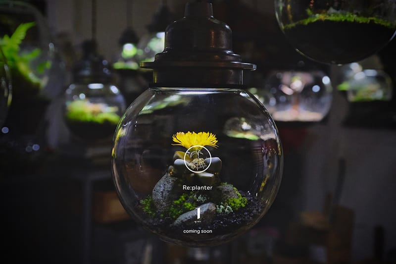 京都の植栽家 村瀬貴昭のソロプロジェクト “Re:planter” が祇園 y gion で個展を開催