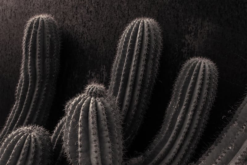 ラーメン専門店の一風堂が NEIGHBORHOOD とのコラボレーションユニフォームを発表