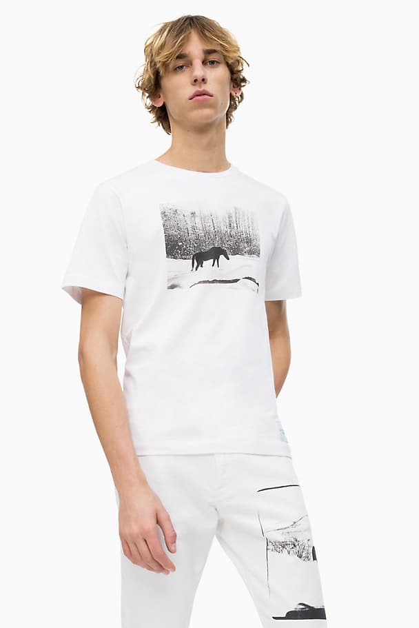 カルバン クライン CALVIN KLEIN がアンディ・ウォーホルの未発表作品をプリントした最新コラボコレクションを発表