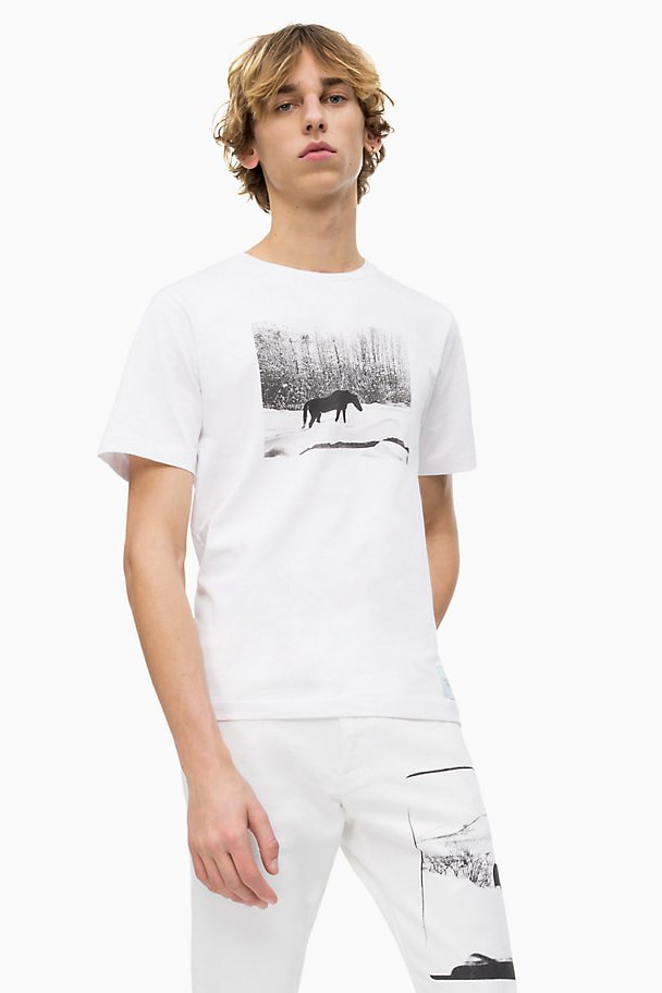 カルバン クライン CALVIN KLEIN がアンディ・ウォーホルの未発表作品をプリントした最新コラボコレクションを発表