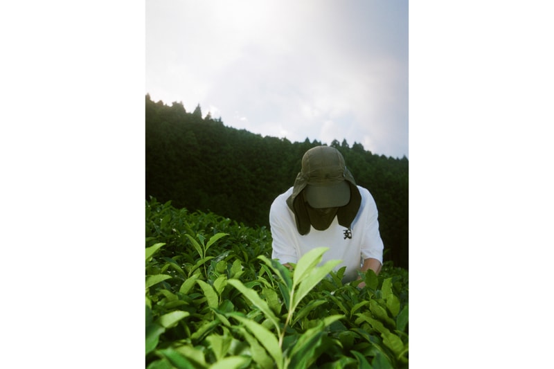 エフィレボル efilevol 静岡 お茶屋 かねぶん  コラボ ミニ コレクション