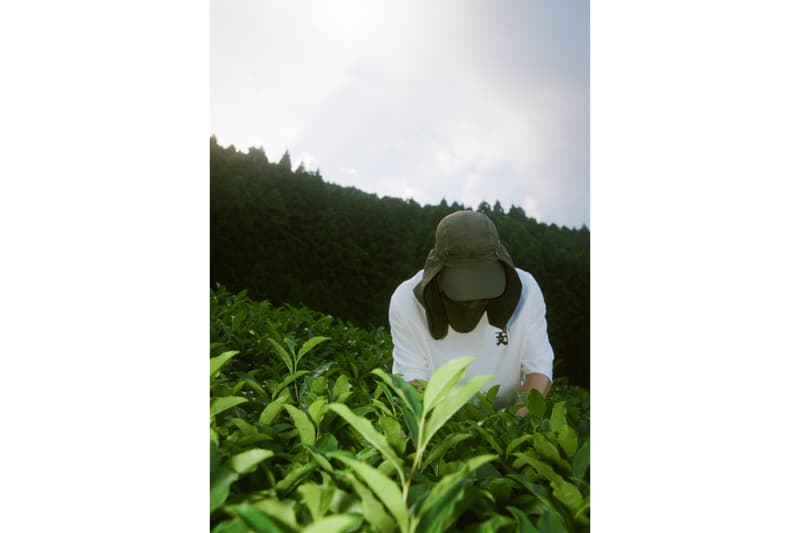 エフィレボル efilevol 静岡 お茶屋 かねぶん コラボ ミニ コレクション
