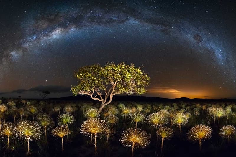 写真コンテスト international landscape photographer of the year 2019 winners