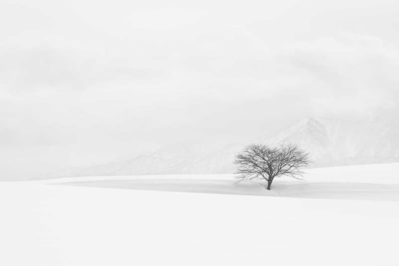 写真コンテスト international landscape photographer of the year 2019 winners