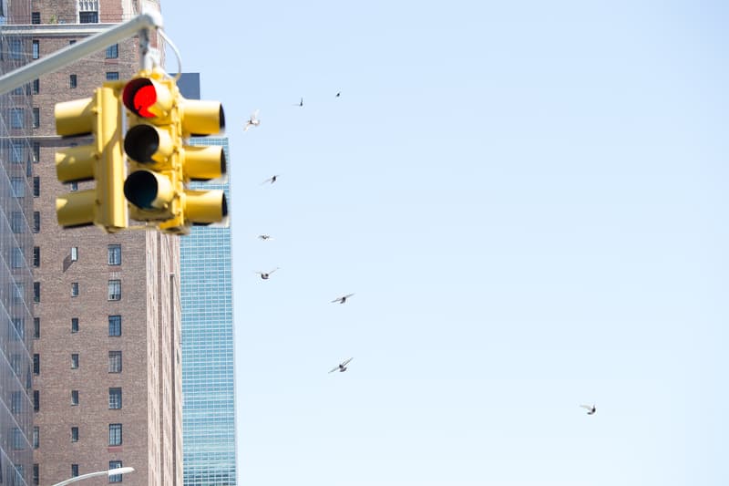 CHARI&CO チャリアンドコー 2019年春 ルックブック