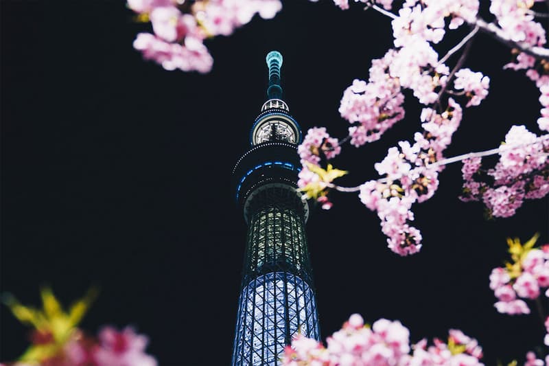 ハイプビースト フォトコンテスト HYPEBEAST JAPAN の新企画 “HBJP Photo Challenge” がスタート 桜 サクラ sakura お花見